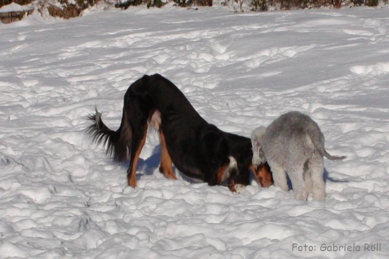 Quincy 2009-01-ß6.JPG